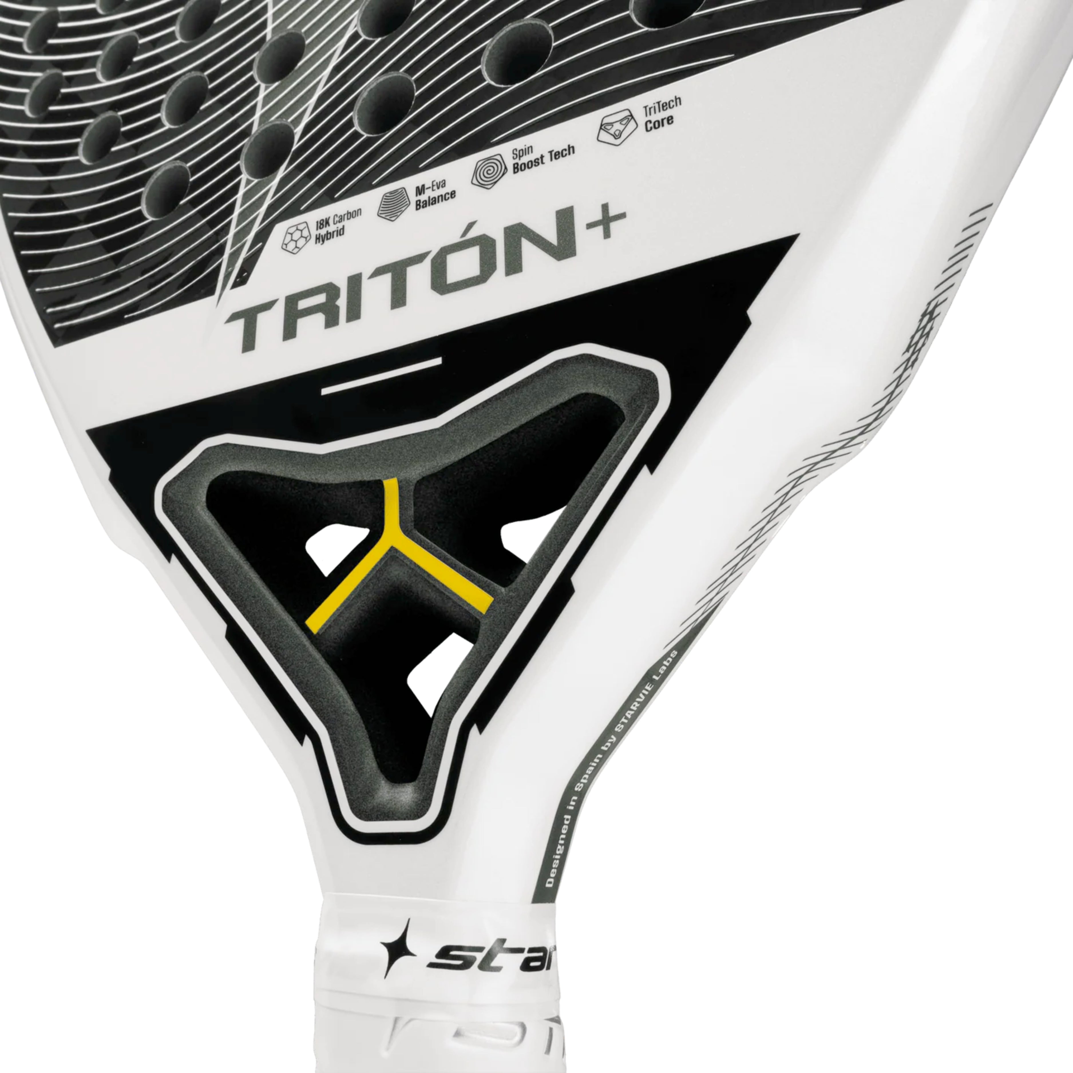 Starvie Triton Balance + 2026