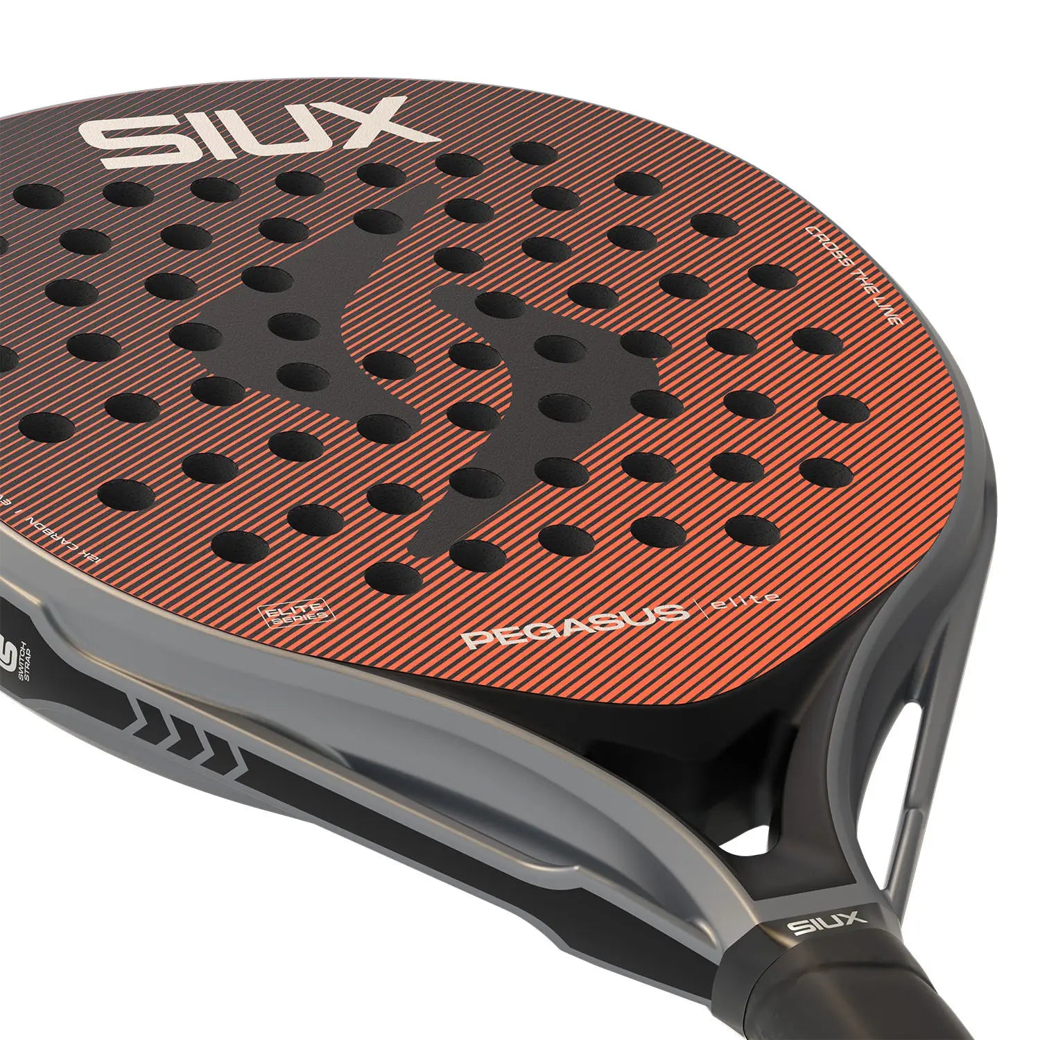 Siux Pegasus Elite 2026