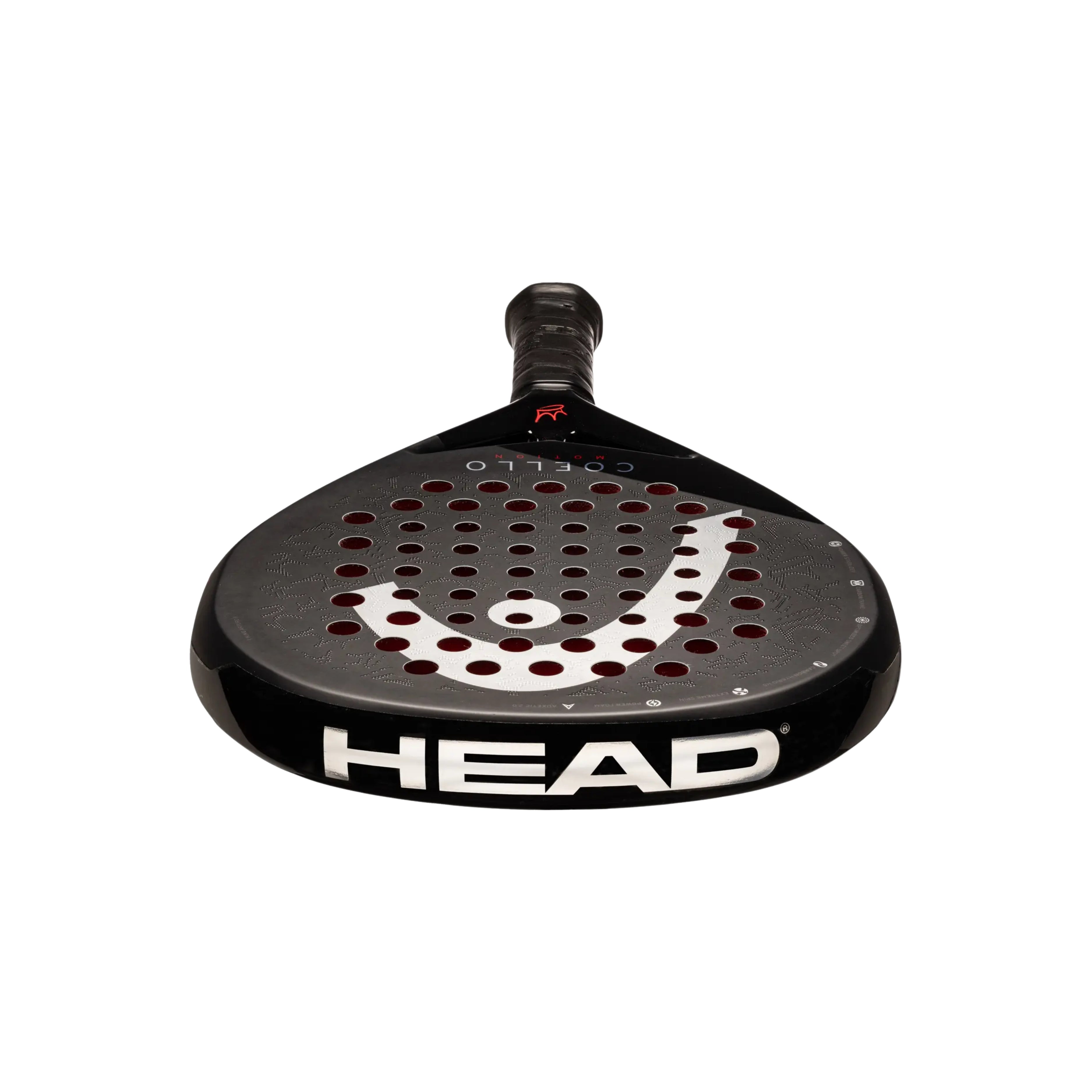 Head Coello Motion 2025